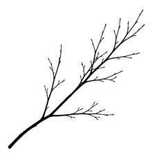 White outline of a delicate bare tree branch with many small twigs against a black background image