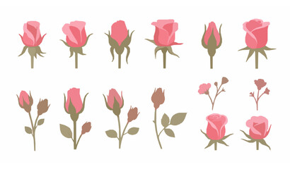 Decorative pink rosebud vector elements set with delicate floral buds isolated on white background