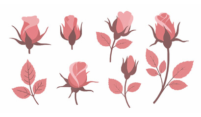 Romantic pink rosebud decorative vector set with floral elements and leaves isolated on white background