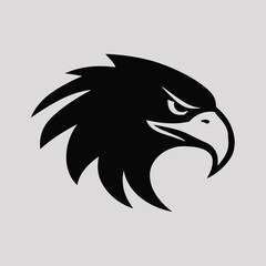 Obraz premium Fierce eagle head isolated on white background, Vector, illustration