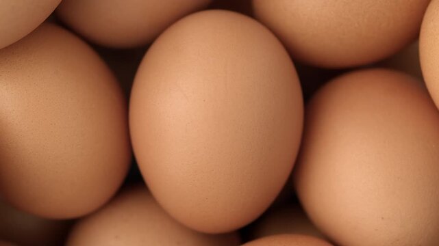 Overhead close-up of brown eggs arranged tightly together with smooth shell texture filling the frame in uniform alignment