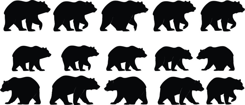 Bear Silhouette Walking Animation Frames Set Showing Multiple Movement Poses Isolated on White Background Vector