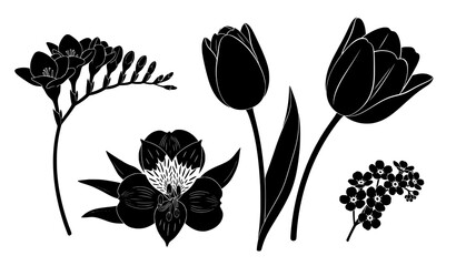 Black flower silhouettes vector set with freesia tulips alstroemeria and forget-me-not isolated on white