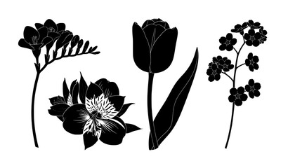 Minimalist black flower silhouette vector set of freesia tulips alstroemeria and forget-me-not