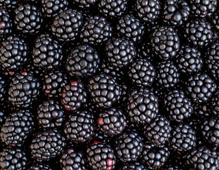 Close-up view of blackberries forming a natural food texture background. Full frame composition with detailed berry surface and deep dark tones. Suitable for food design