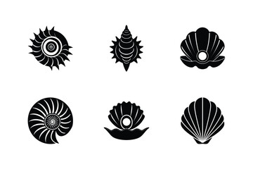 Set of Various Seashell Silhouettes Icons Isolated on White Background
