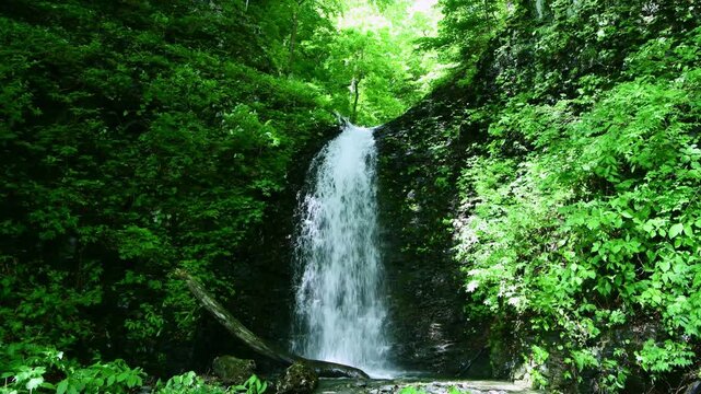 栃木県那須塩原市　塩原温泉に流れる仙髯の滝