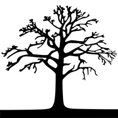 Obraz premium Bare tree silhouette on white background for design and decoration