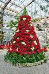 綺麗な装飾のクリスマスツリー