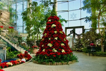 綺麗な装飾のクリスマスツリー