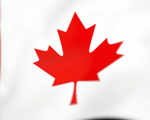 Symbol of national pride and unity in Canada with the vibrant red maple leaf on a white background