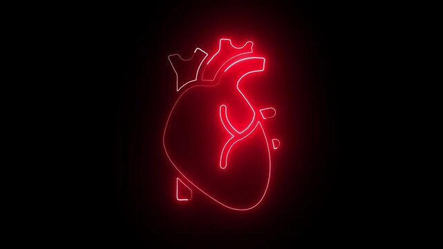 abstract red color glowing human heart anatomy icon animation on dark black background. 4k video