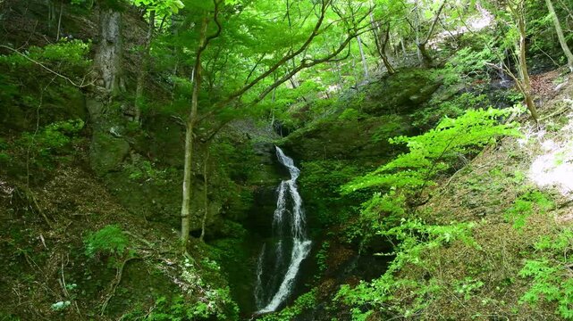 栃木県那須塩原市　塩原温泉に流れる連珠の滝