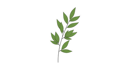 Simple illustration of a single plant branch with green leaves in a minimalist, hand-drawn botanical style on a white background.
