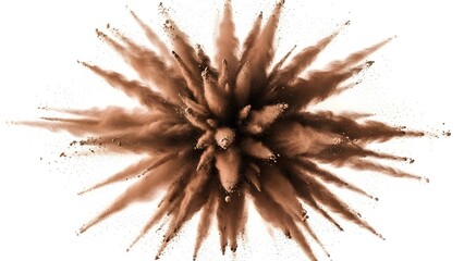 Abstract brown explosion on white background