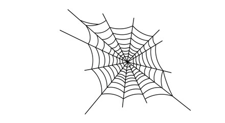 Animated black line drawing of a delicate and intricate spider web spinning into view from a corner on a white background.