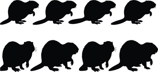 Beaver Silhouette Vector Set with Walking and Standing Poses Isolated on White Background Wildlife Illustration © sahajahan