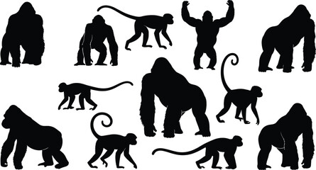 Gorilla and Monkey Silhouette Vector Set with Different Poses Movements and Expressions Isolated on White © Sumon Creative