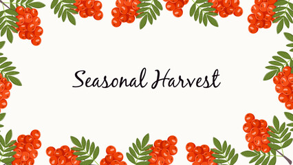 Summer vector banner with red rowan berries and green leaves forming a decorative frame. Clean white background with copy space for web banners, advertising, food and nature projects.