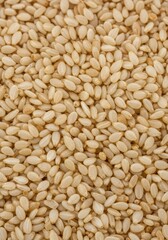 Fototapeta premium A detailed macro shot showing a large, vibrant pile of tiny, pale white sesame seeds, rich in texture and used widely in global cuisine ,delicious ,food ,baking