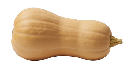 Butternut squash vegetable food isolated on a transparent background
