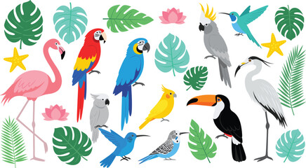 Obraz premium Tropical Birds Cartoon Illustration Set with Parrots Flamingo Toucan Cockatoo and Exotic Leaves Vector Collection