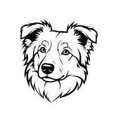 Detailed Line Art Portrait of a Border Collie Dog.