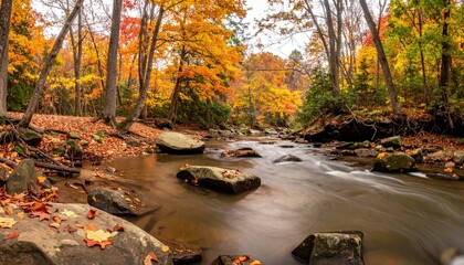Flowing stream in an autumn forest with colorful foliage, leaves, and rocks under an overcast sky