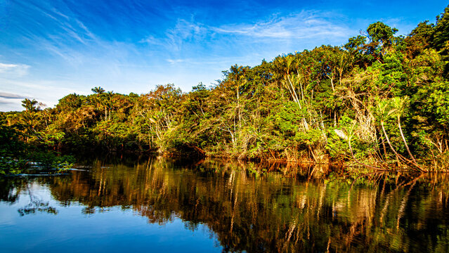 Rio Negro - Barcelos - Amazonas - Brasil