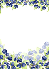 Hand-drawn Blueberry Frame. Vertical Berries Card Template.