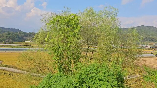 Peaceful rural Korea countryside landscape