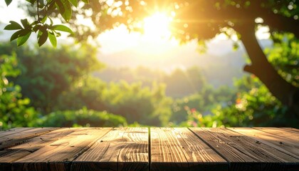 Sunlit scene with wooden surface, greenery, and trees in background, bathed in golden sunlight