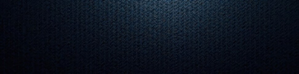 Fototapeta premium Dark carbon fiber background texture, abstract vector illustration , elegant, style
