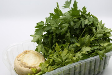 Fresh parsley with celery root closeup on white.