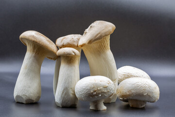 Fresh eringi oyster and champignon mushrooms on black surface closeup.
