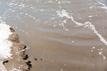 Close-up of White Sea Foam and Snow on a Wet Sandy Shoreline