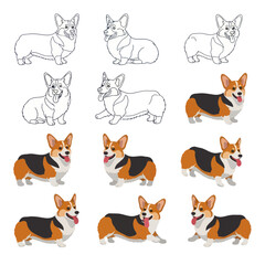 Corgi Dog Breed Illustrations - Line Art and Color Variations.