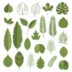Diverse Collection of Green Leaf Illustrations for Botanical Designs.