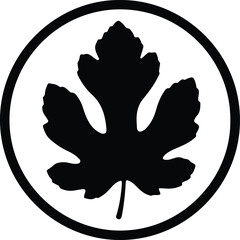 Silhouette Stylized Fig Leaf Icon Inside Circle Design Element Vector Illustration