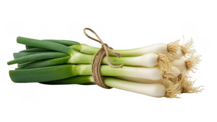 Bunch of green onions with roots tied together isolated on a transparent background