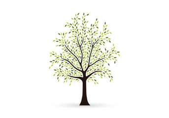 Green Leaf Branch Vector series on white background, vector green tree on white,
Natural Botanical Foliage Illustration