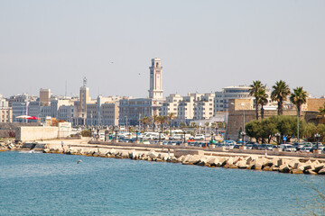 Coastal cityscape with palm trees and harbor in sunlight