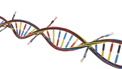 D N A helix structure made of colorful electrical wires on png isolated transparent background black background