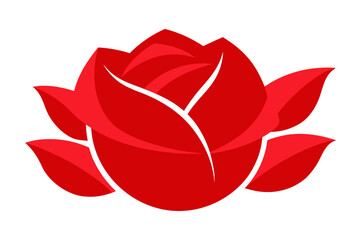 red rose vector illustration