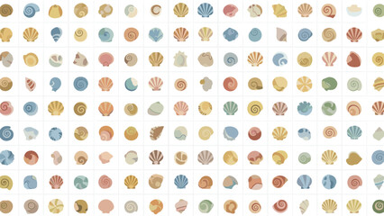Varied collection of colorful seashells and snails in a grid pattern, perfect for ocean, beach, and natural history themes, isolated on white.