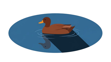 An illustration depicting a brown duck with an orange beak floating on water. The water is in a blue oval shape and has ripples. The duck has a shadow