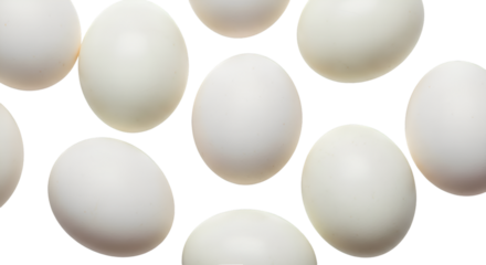 Scattered White Eggs on Black Background food ingredients