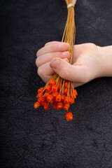 Bunch of dried orange color flower in hand