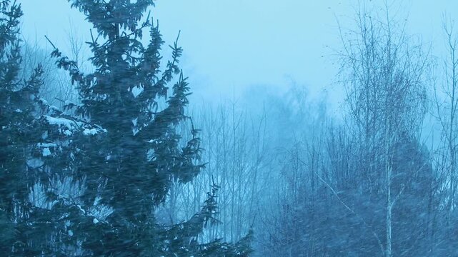 Snow storm cold windy weather video background