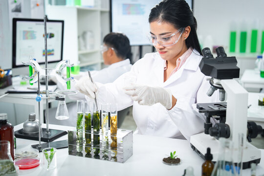 Female scientist conducting algae biotechnology research in a modern laboratory, analyzing green biological samples for sustainable energy, environmental innovation, and renewable bioresource develop.
